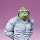 Aperillas 2.0 #168