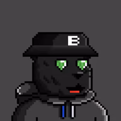BearFi #121