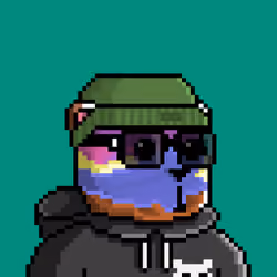 BearFi #341