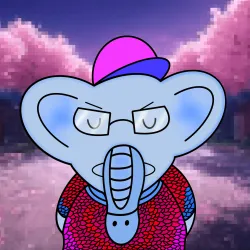 205