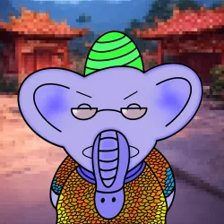 55
