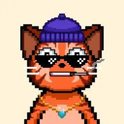 Apecats #2556
