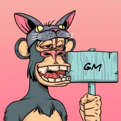 84