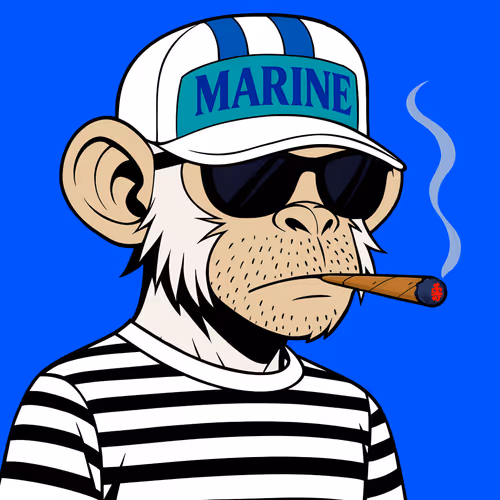 Apes on Ape token 9999