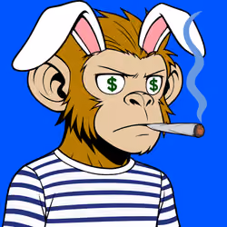 ApesOnApe #7916