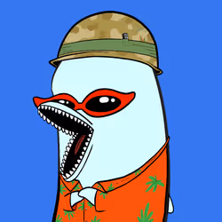 585