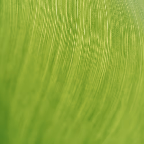 Verdant Veins