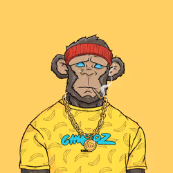 CHUMPZ #4311