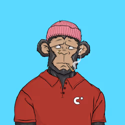 CHUMPZ #928
