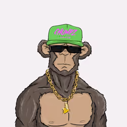 CHUMPZ #900