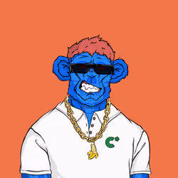 CHUMPZ #1684