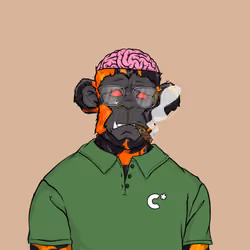 CHUMPZ #2526
