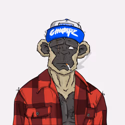 CHUMPZ #2024