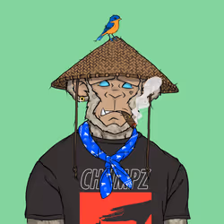 CHUMPZ #637