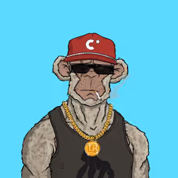 CHUMPZ #5527