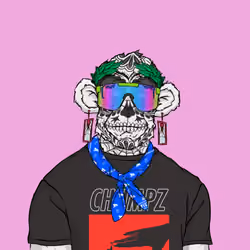 CHUMPZ #255