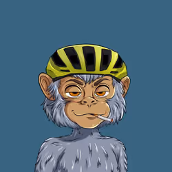 Monty#4136