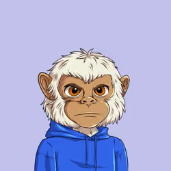 Monty#3974