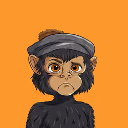 Monty#4152
