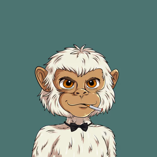 Monty#3821