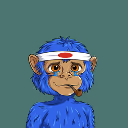 Monty#4211