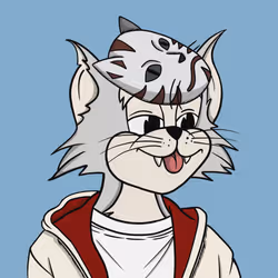 7116