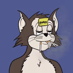 5253
