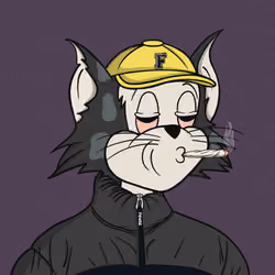 Feline Fiendz #4145