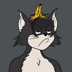 Feline Fiendz #2492
