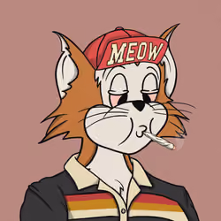 Feline Fiendz #2559