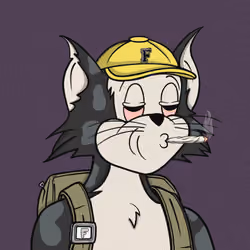 Feline Fiendz #763