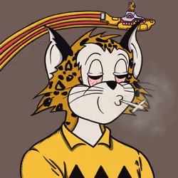 Feline Fiendz #6145