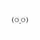 585