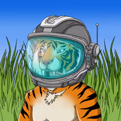 TypicalTigers #4649