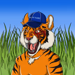 TypicalTigers #5476