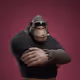 4283