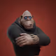 1072