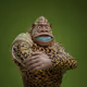 2054