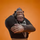 3935