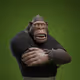 854