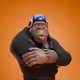1091