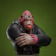 4214