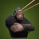 3638