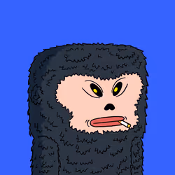 658