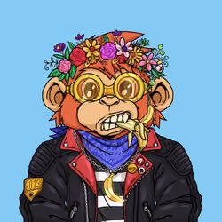 Orangutan #2588