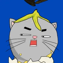 591