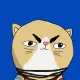 707