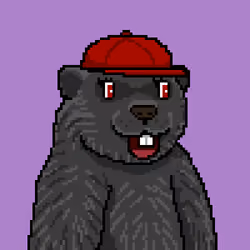 Marmot #340