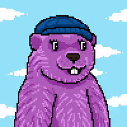 Marmot #347