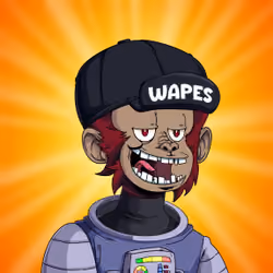 Wapes on Wape #3127